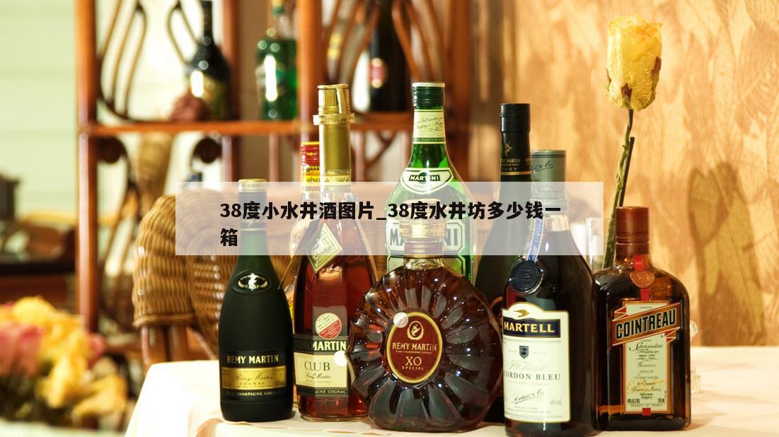 38度小水井酒图片_38度水井坊多少钱一箱 