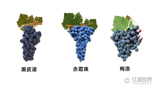 对比黑皮诺、梅洛、赤霞珠葡萄酒