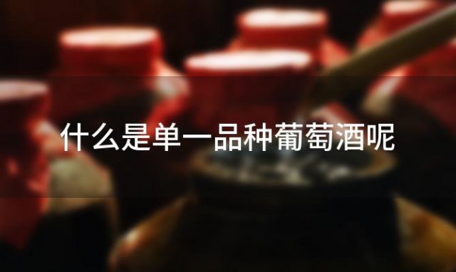 什么是单一品种葡萄酒呢 什么是单一品种葡萄酒的特点 