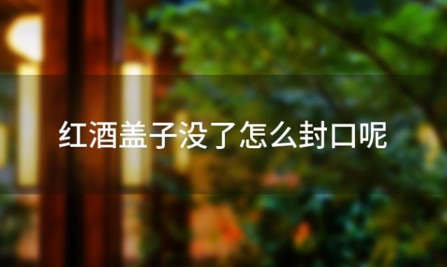 红酒盖子没了怎么封口呢「红酒盖子没了怎么封口处理」