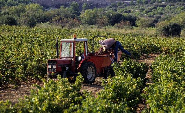 夏天红酒放在哪儿保存 夏天怎么放红酒 
