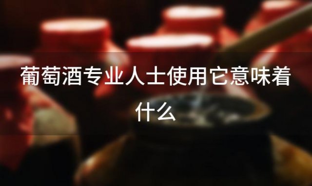 葡萄酒专业人士使用它意味着什么 