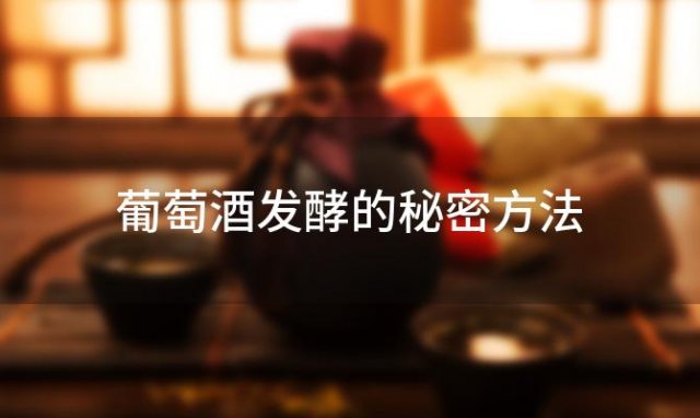 葡萄酒发酵的秘密方法 