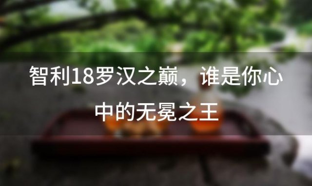 智利18罗汉之巅，谁是你心中的无冕之王