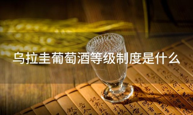 乌拉圭葡萄酒等级制度是什么「乌拉圭葡萄酒」