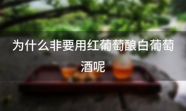 为什么非要用红葡萄酿白葡萄酒呢「为什么要用葡萄做酒」