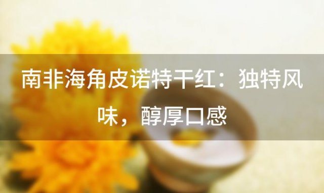 南非海角皮诺特干红：独特风味，醇厚口感，尽享葡萄酒之魅