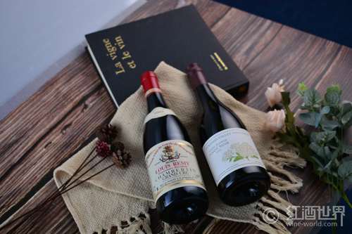 爱上黑皮诺必知的5大常识