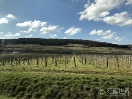 葡萄牙葡萄酒亮点赏析