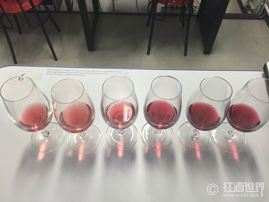 葡萄酒极客的品酒经 