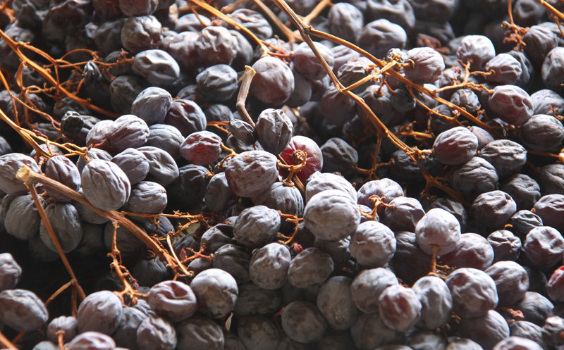 意大利甜葡萄酒“花名册”