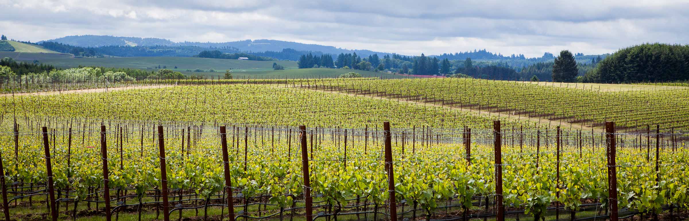美国最佳甜酒生产商名录