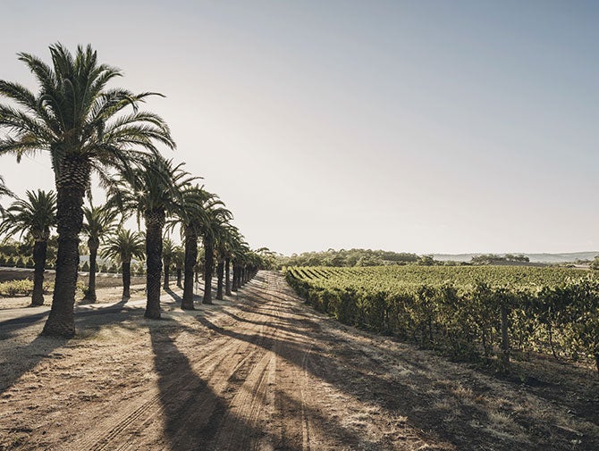 澳大利亚最佳赤霞珠葡萄酒生产商名录 