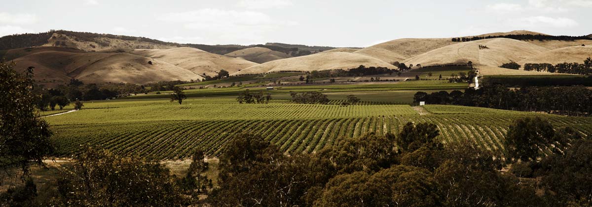 澳大利亚最佳西拉葡萄酒生产商名录 