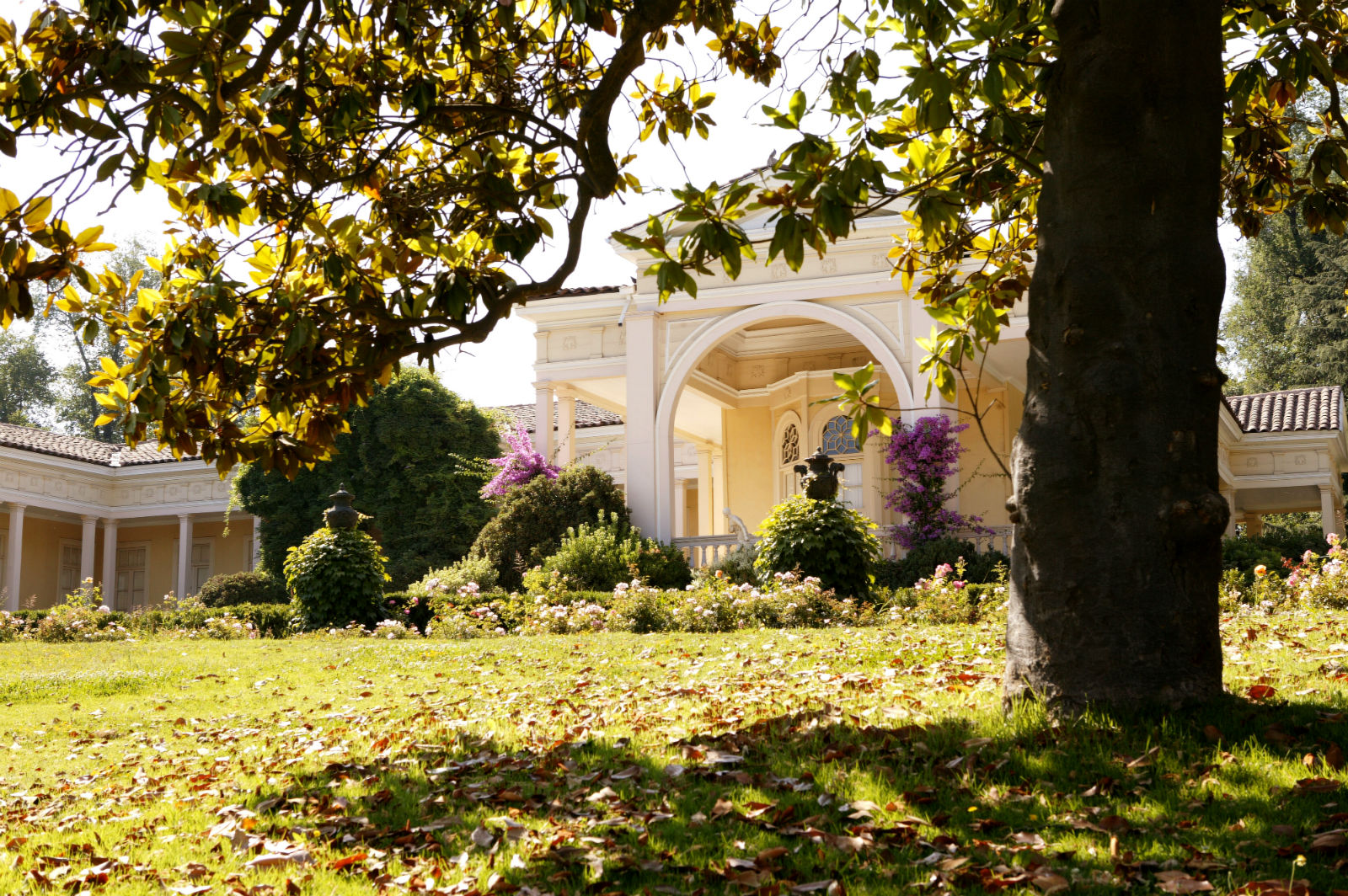智利最佳葡萄酒生产商名录 