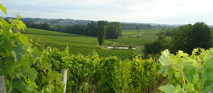 庄主“忍痛割爱”，售出中级庄德雅克