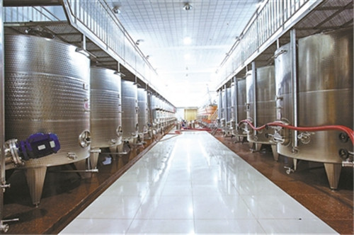 实地探访莱恩堡酒庄 