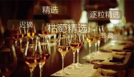 冰酒的迟摘、逐粒枯萄精选到底是什么？ 