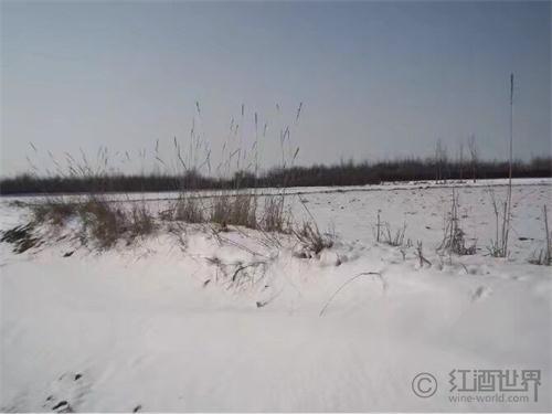 葡萄酒爱好者最喜欢的滑雪胜地
