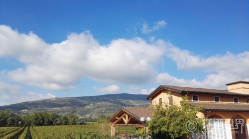 欧洲两大旅游胜地：托斯卡纳VS普罗旺斯