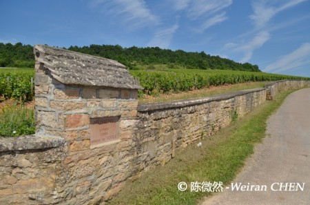 法国葡萄酒旅游指南勃艮第