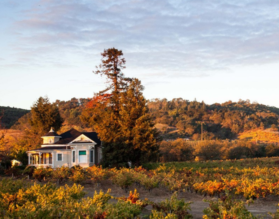 加州的红酒美食之旅