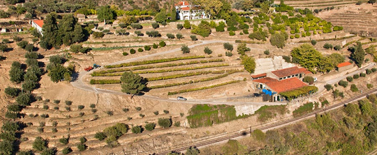 裴勇俊与葡萄酒的恋歌 