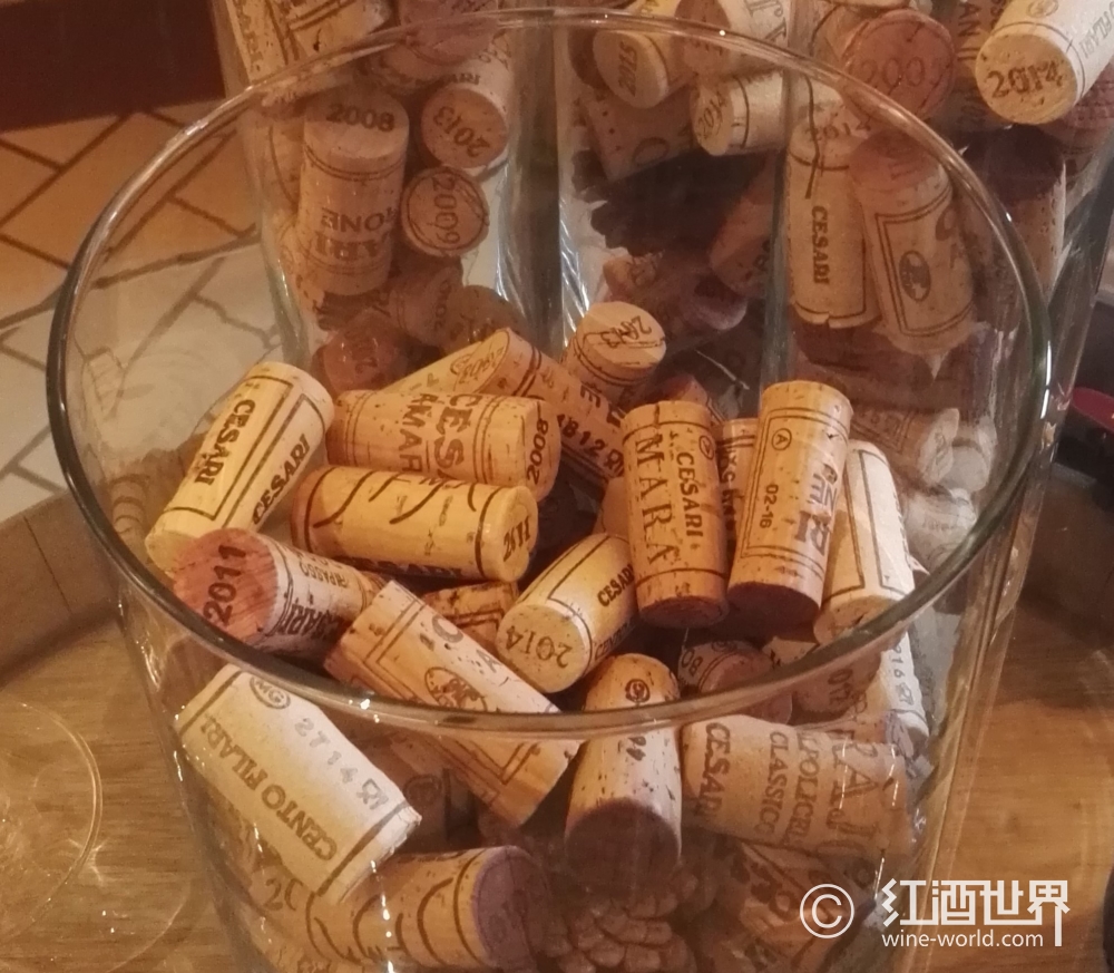 入门：瓶塞与葡萄酒质量有必然联系吗？