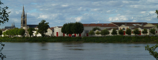 酒王之王柏图斯2010年份价格出现新低