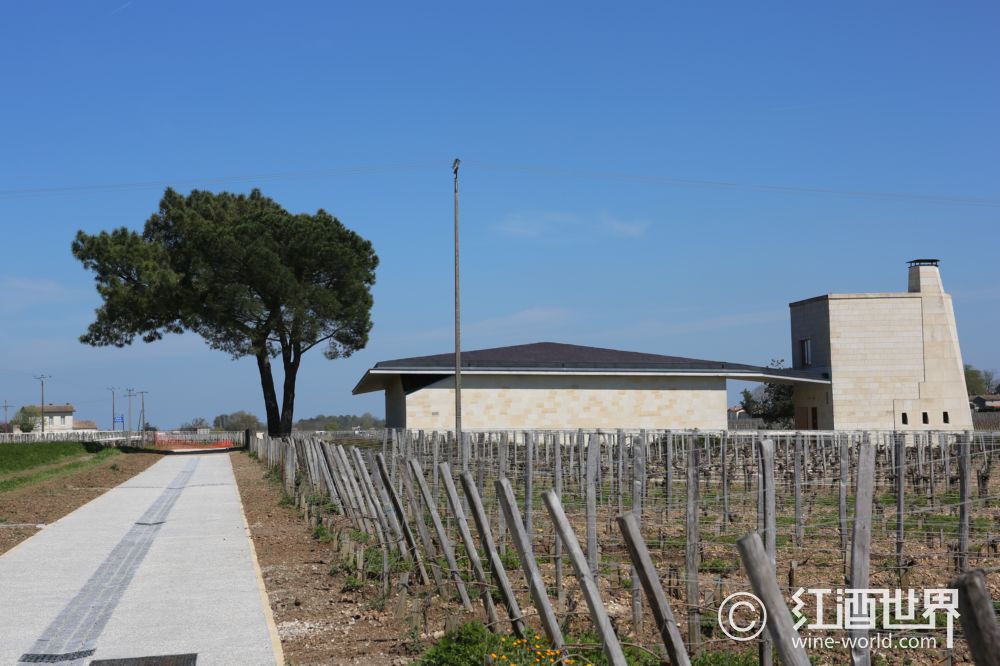 波尔多右岸名庄里鹏酒庄退出2013年期酒市场