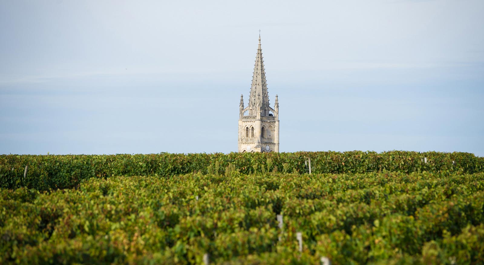 拉图酒庄庄主投资波尔多右岸酒庄