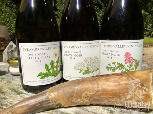 南半球惊现首个接受比特币买酒的酒庄