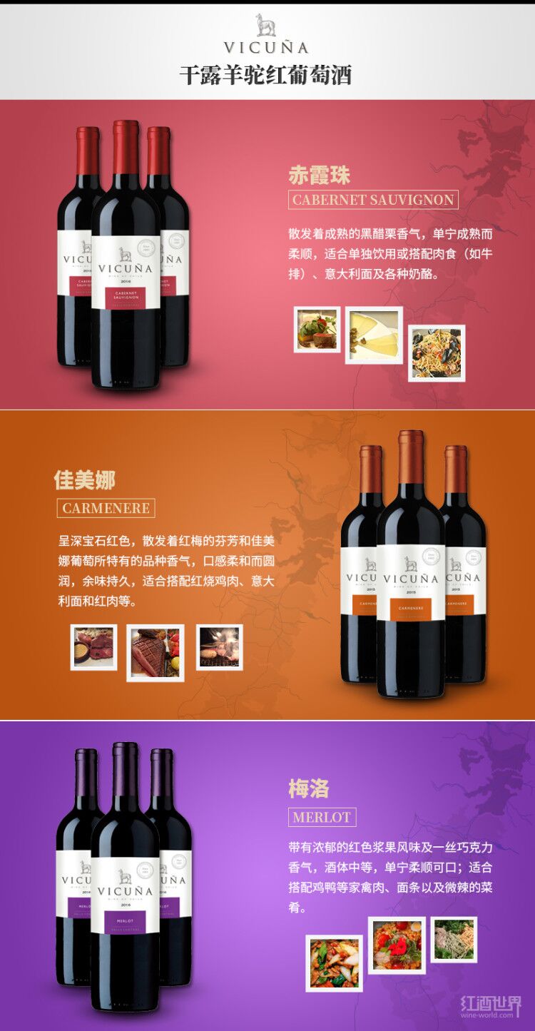 红酒世界网年度推荐品牌——干露羊驼 