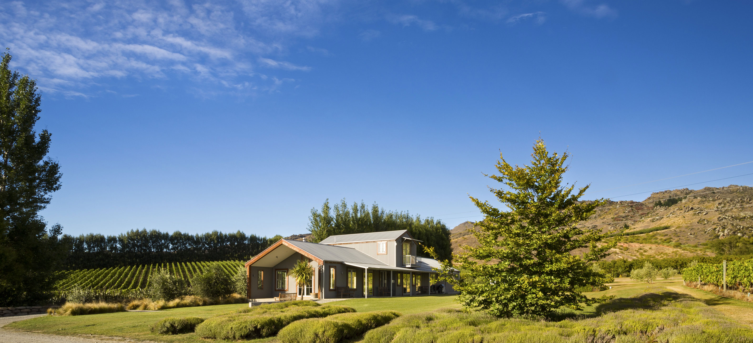 新西兰双蛙酒庄再购葡萄园