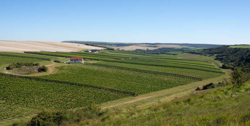 英国最大的酒庄Rathfinny Estate正式创建