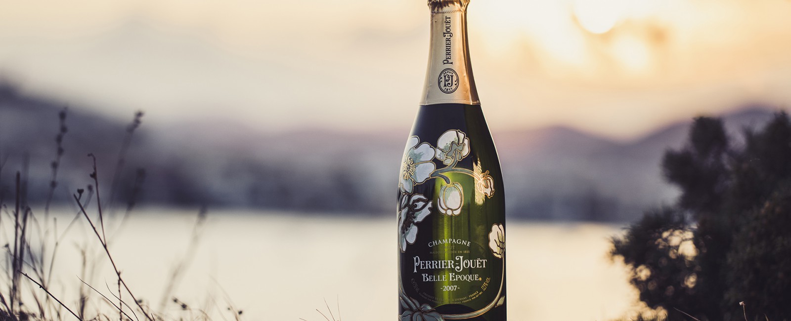 巴黎之花提前发售2007年份香槟