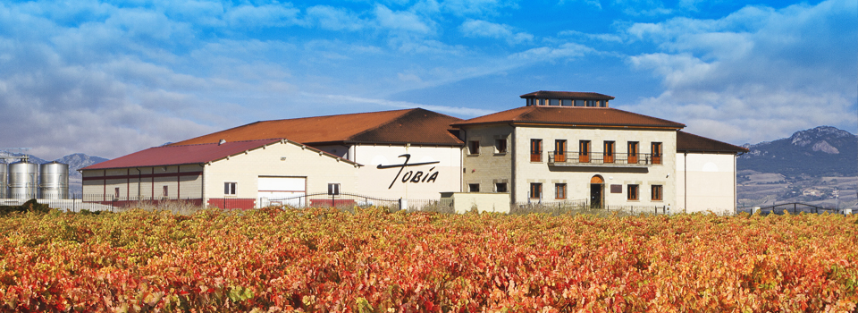 里奥哈生产商研究橡木替代品