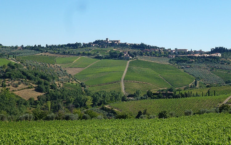 经典基安帝顶级精选级能否真的保证质量？ 