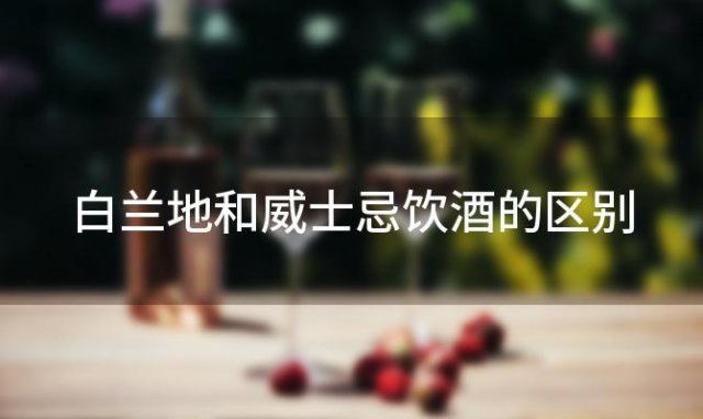 白兰地和威士忌饮酒的区别