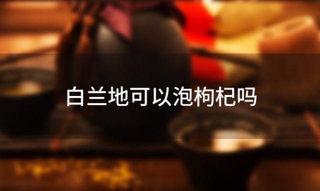 白兰地可以泡枸杞吗 白兰地可以泡枸杞喝吗