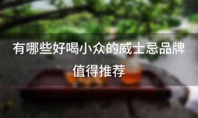 有哪些好喝小众的威士忌品牌值得推荐「洋酒有哪些品牌」