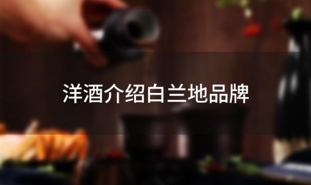 洋酒介绍白兰地品牌 洋酒白兰地有哪些品牌 