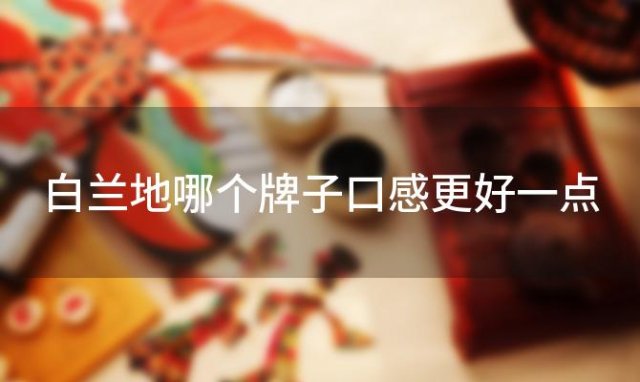 白兰地哪个牌子口感更好一点