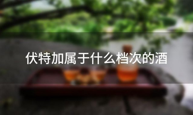 伏特加属于什么档次的酒，亚里奇伏特加属于什么档次