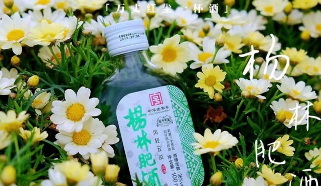 云南当地传统黄酒