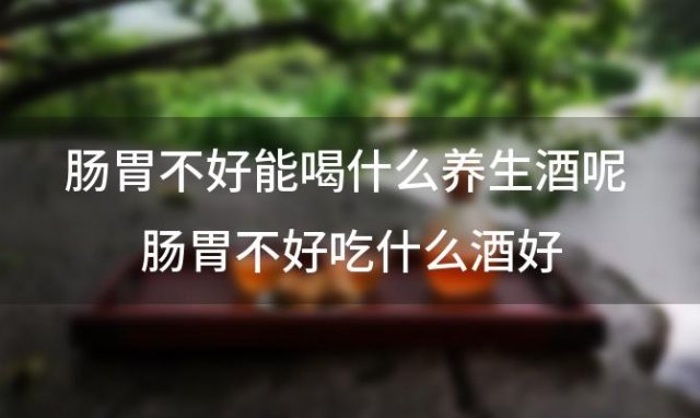 肠胃不好能喝什么养生酒呢 肠胃不好吃什么酒好 