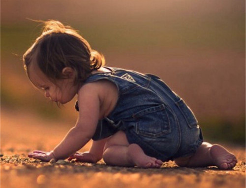 陈姓女孩取名大全属虎