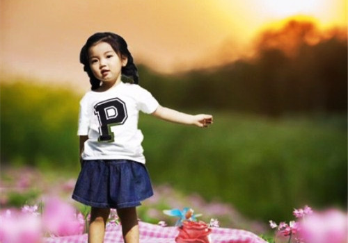 女孩子姓陈的名字属虎的