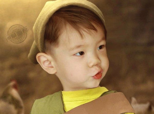 诗经起名字大全男孩名字