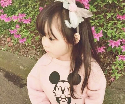 诗经带清字的诗句名字